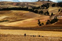 `De Cusco a Maras `