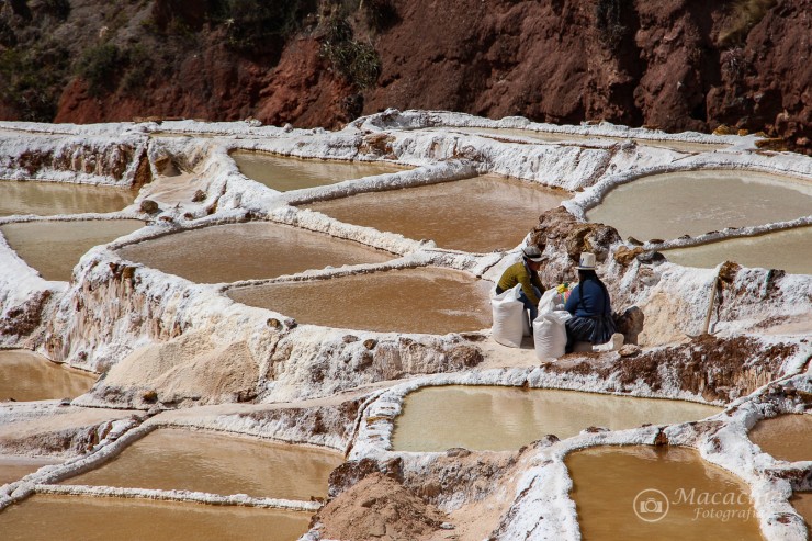 Foto 1/`Sudores del salar`