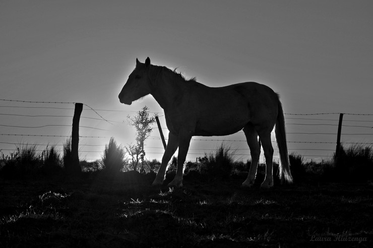 Foto 2/Trini y el atardecer