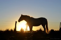 Trini y el atardecer