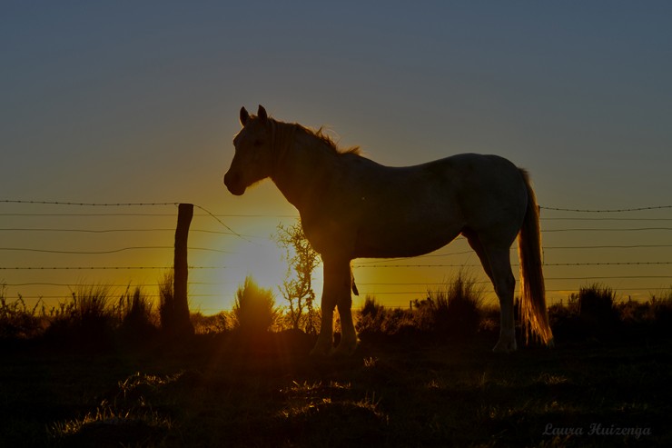 Foto 4/Trini y el atardecer