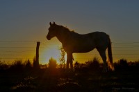 Trini y el atardecer