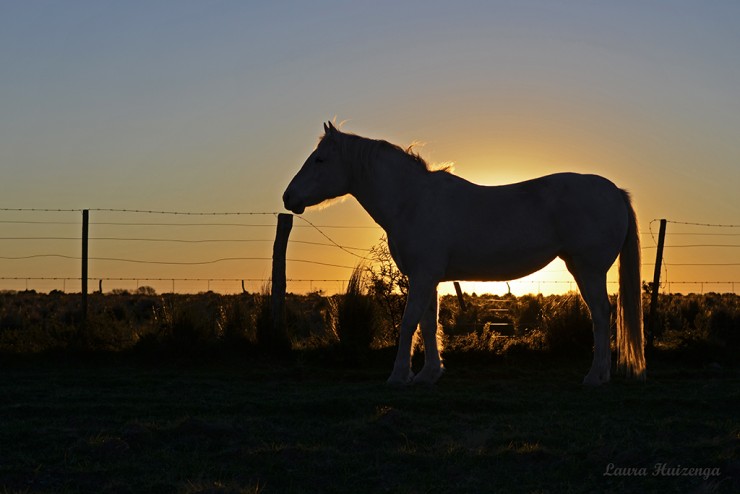 Foto 5/Trini y el atardecer