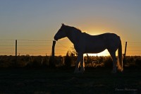 Trini y el atardecer