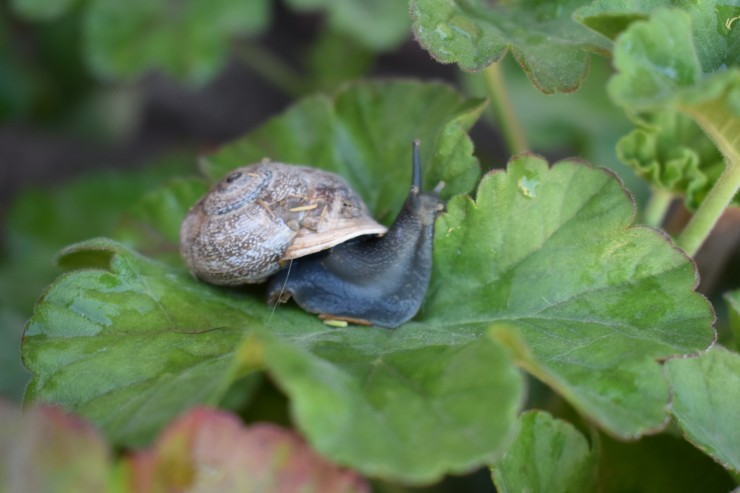 Foto 1/Mi amigo, el &#128012;