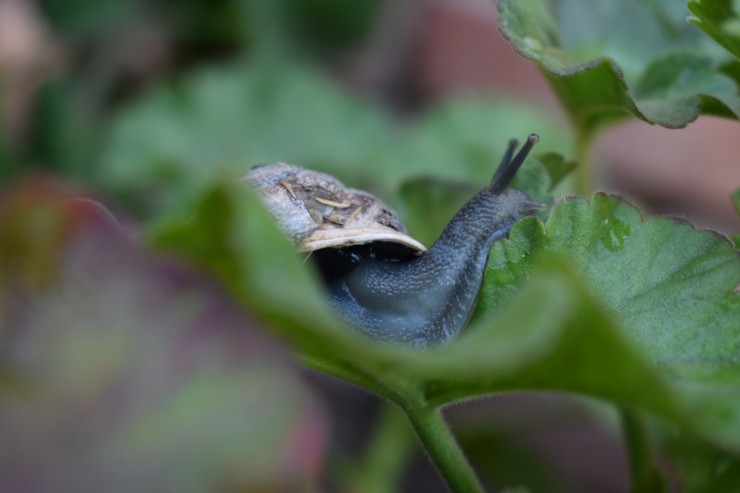 Foto 2/Mi amigo, el &#128012;