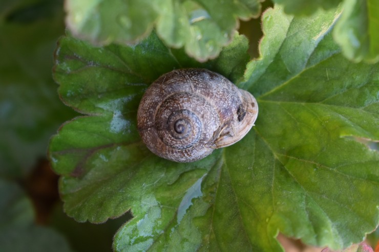 Foto 3/Mi amigo, el &#128012;