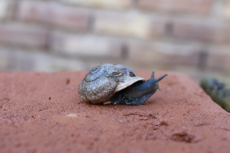 Foto 4/Mi amigo, el &#128012;