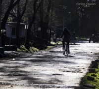 La vida en el conurbano