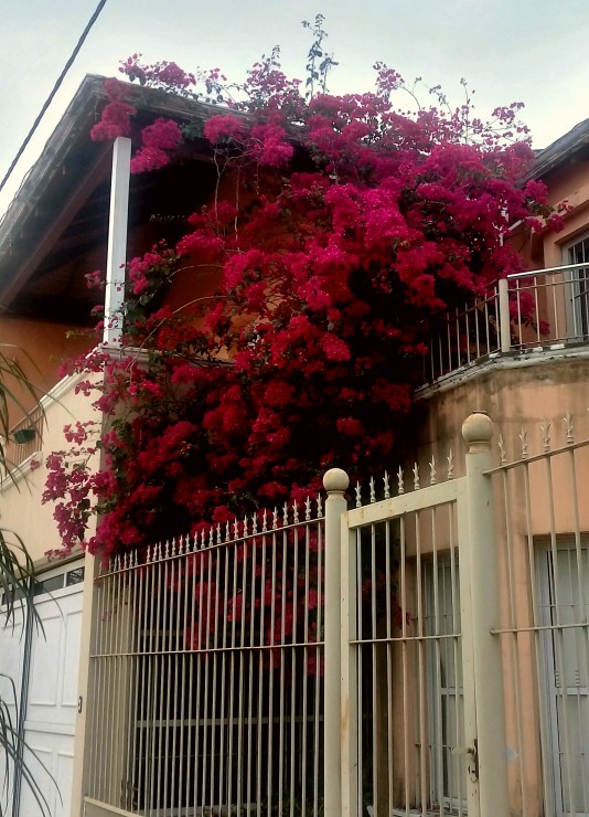 Foto 4/Formosa 12/09/18 vsperas de la primavera