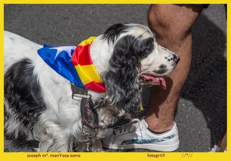 Foto 3/Diada 2018