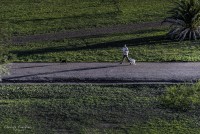 Uruguay sus rutas y sus campos