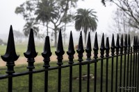 La Plaza, lluvia y soledad