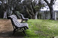 La Plaza, lluvia y soledad