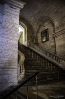 Rincones de la Biblioteca de Nueva York