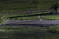 De paseo por mi jardin