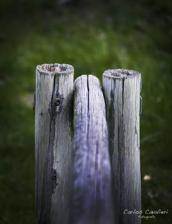 Foto 2/Con el corazn de madera