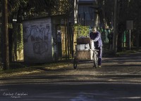 Trabajando por las calles de la ciudad