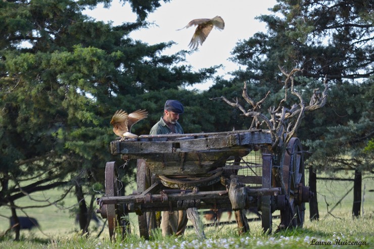 Foto 4/El seor de los pjaros