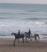 Caballgando junto al mar