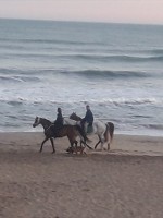 Caballgando junto al mar