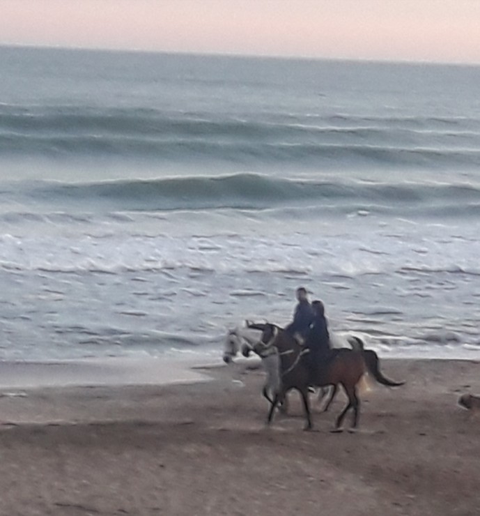 Foto 3/Caballgando junto al mar