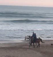 Caballgando junto al mar