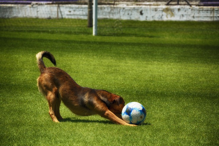 Foto 2/El Crack de Villa Dlmine