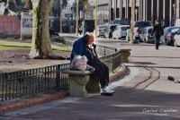 Por la maana en Plaza de Mayo