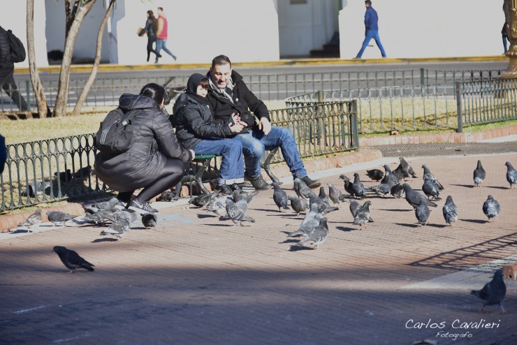 Foto 5/Por la maana en Plaza de Mayo