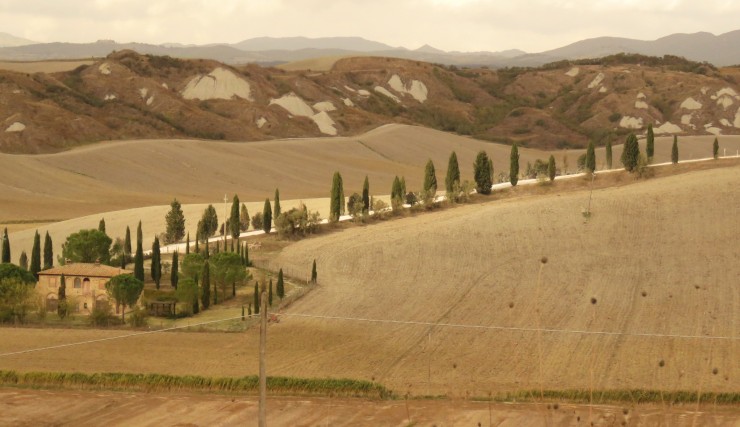 Foto 2/crete senesi ....