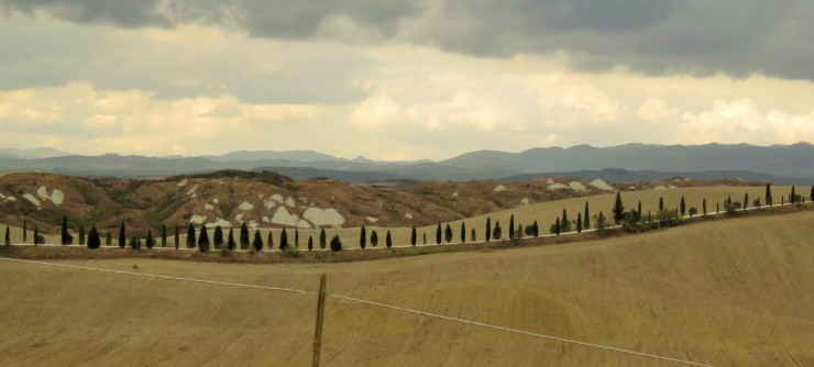 Foto 4/crete senesi ....