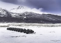 El Campo en la Patagonia...