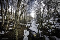 El Campo en la Patagonia...