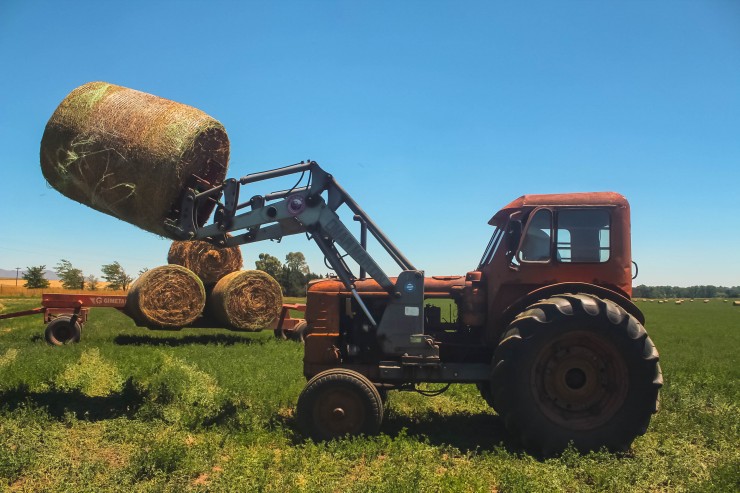 Foto 4/` Trabajo en el campo `