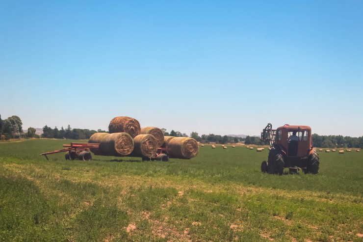 Foto 5/` Trabajo en el campo `