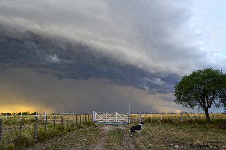 Foto 2/Tormenta del 29/12/18