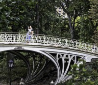 Caminando por el Central Park