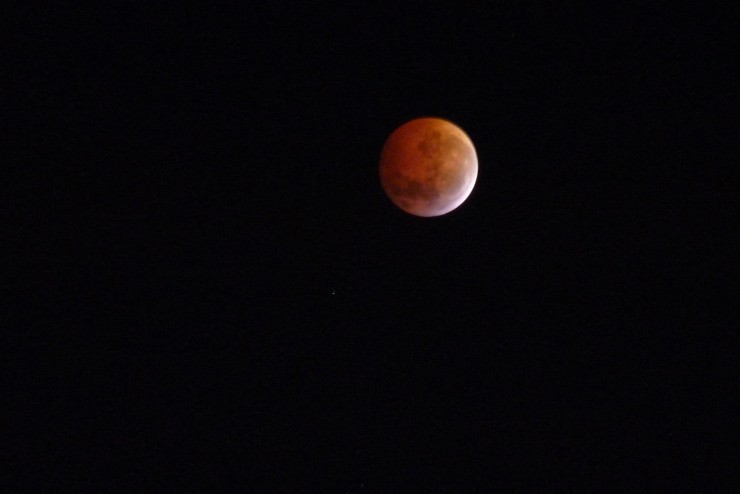 Foto 1/Noche de eclipse