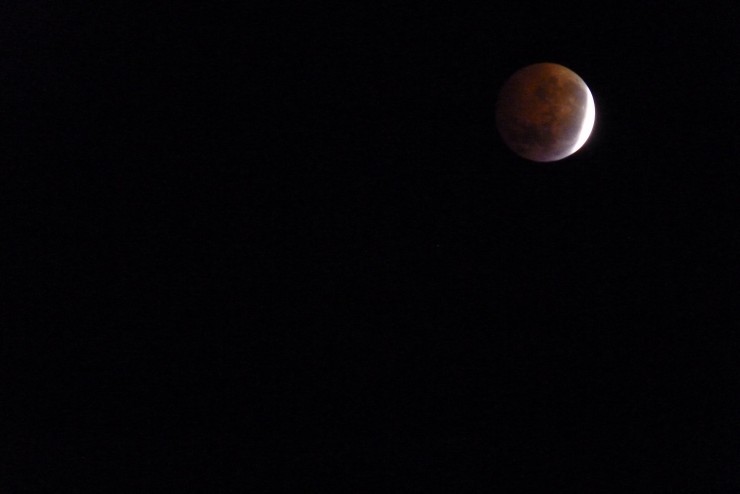 Foto 3/Noche de eclipse