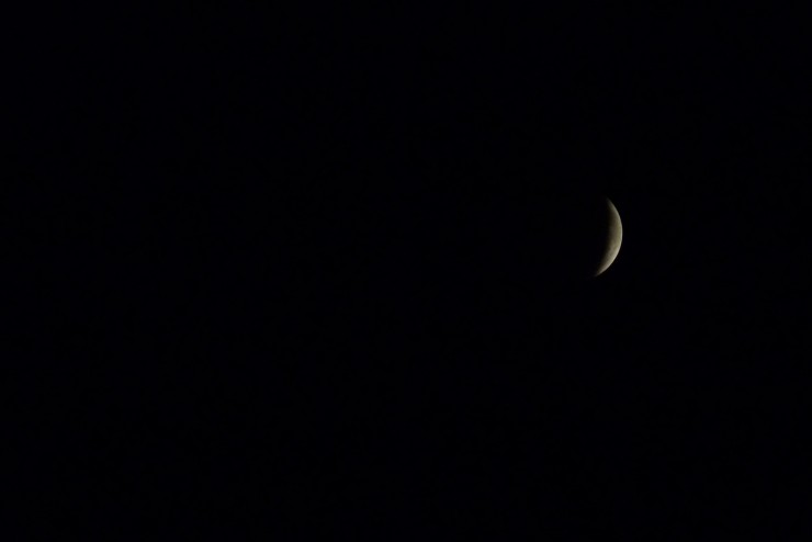 Foto 4/Noche de eclipse