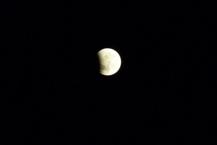 Foto 5/Noche de eclipse