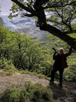 Foteando por el bosque del glaciar...