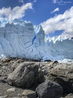 Foteando por el bosque del glaciar...