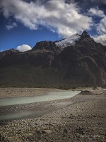 Foteando por el bosque del glaciar...