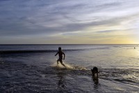 El perro y el mar