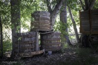 Una vieja bodega pampeana