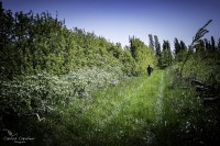 Una chacra ecolgica en medio de La Pampa...