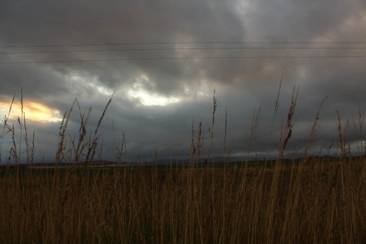 Foto 3/` Se acerca la tormenta `