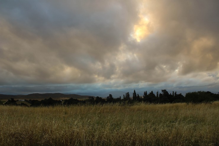 Foto 4/` Se acerca la tormenta `